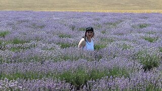 AvroraFlower